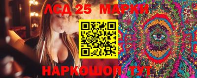 СК Кингисепп
