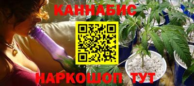СК Кингисепп