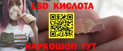 СК Кингисепп