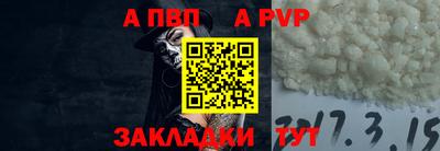 СК Кингисепп