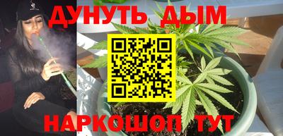 СК Кингисепп
