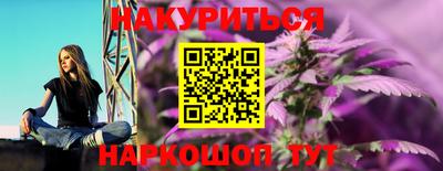 СК Кингисепп